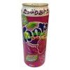 ձҴζˮ500ML